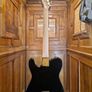 Squier 40th Anniv. Telecaster 2022 Image 2