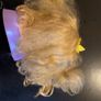hairdressing doll Rapunzel Image 2