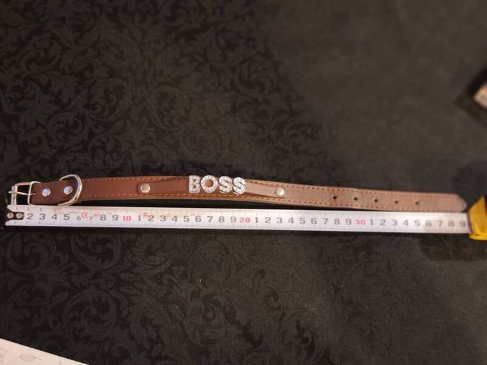 accessories for animals