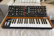 Behringer Poly D