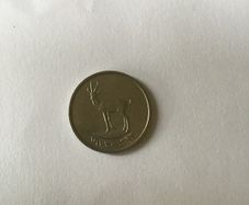 Collectible coin - United Arab Emirates 25 Fils