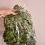 wedding greenery Image 2