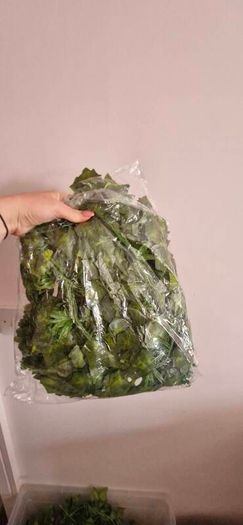 wedding greenery