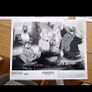 1986 An American Tail Press Kit Image 7