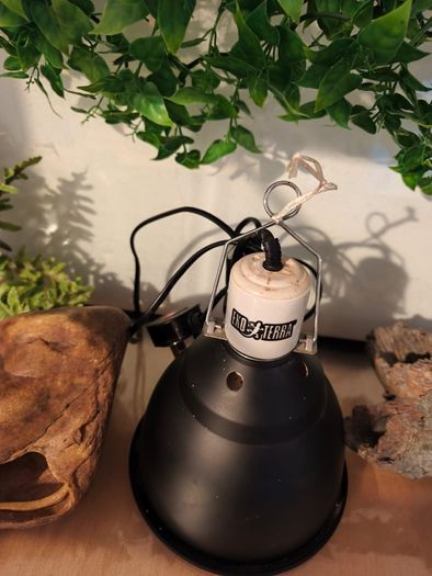 terarium