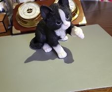 Cat ornament by hot ant