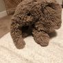 Retired Jellycat Smudge Elephant Image 2