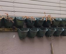 Living wall planters (6)