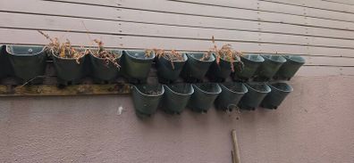 Living wall planters (6)