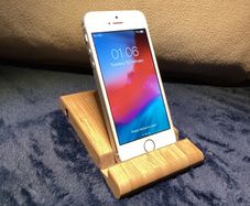 iPhone 5s