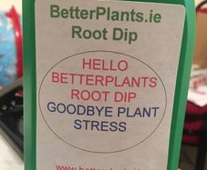 Roots Boost