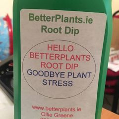 Roots Boost
