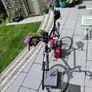 racing bike paganini Image 2
