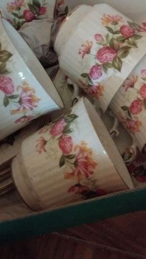 18piece Queens Woman And Home Rosina China Tea Set
