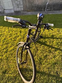 Bentini Medina 700c Ladies Bike-Brand New / Unused
