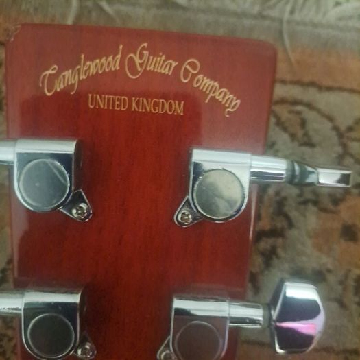 Tanglwood acoustic guitar Tanglwood guitar company united kingdom