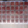 Set of 40 Mini Stamps - Christmas, seasonal theme, for cardmaking, scrapbooking, crafting Image 4