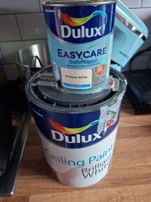 Free Paint