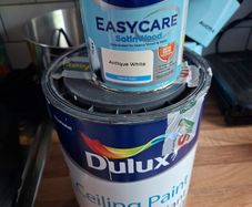 Free Paint