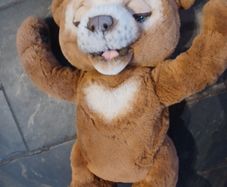 Cubby the Curious Bear