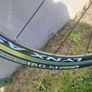 Pinarello carbon Image 9
