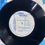 Christy And The Last of the Teenage Idols vinyl single Irish Image 4
