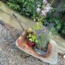 vintage wheelbarrow Image 3