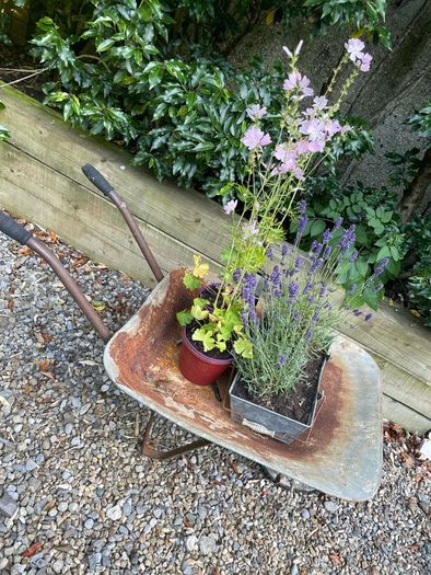 vintage wheelbarrow