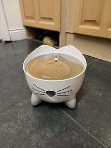 electric cat fountain