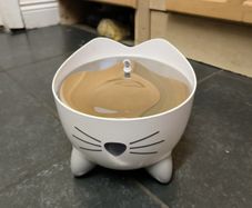 electric cat fountain