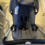 Buggy Image 8