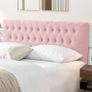 Bondage headboard adult furniture Image 4