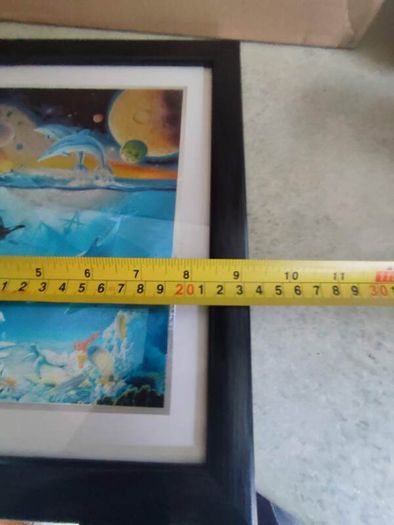 Lovely Framed Print Of Dolphin Sea Life Marine.