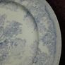 Asiatic Pheasant - Dinner Plate Image 3