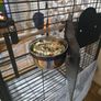 parrot cage Image 6