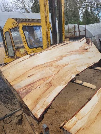 Hardwood timber