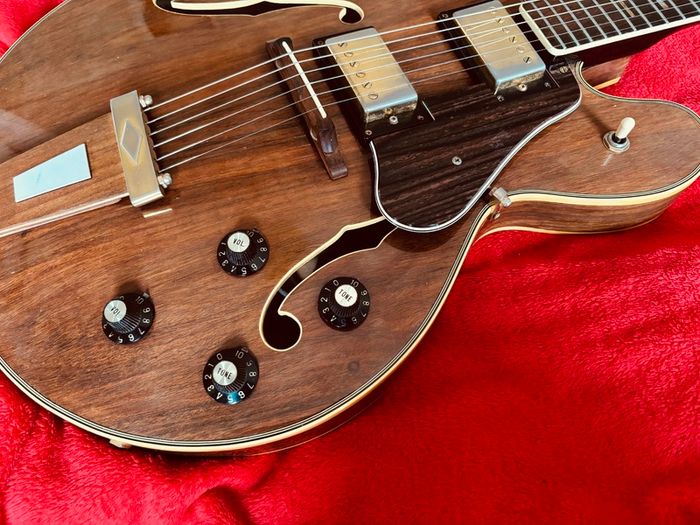 Vintage Ibanez pre lawsuit beauty