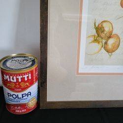 Lovely signed illustration i Pomodori (Tomato)