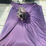 Bean bag Image 2