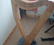 Harp (beginners)