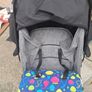 buggy Image 5