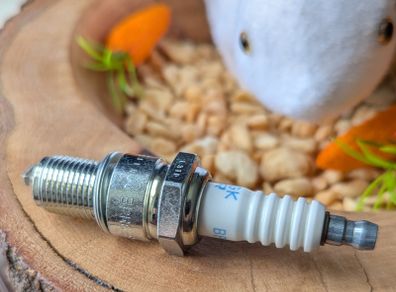spark plugs NGK BPR6ES