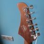 Cort G200 Se Image 6