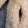 Zara Teddy Coat Image 7