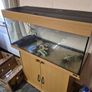 Fish Tank Image 2