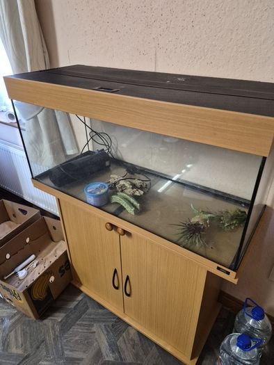 Fish Tank