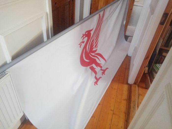 window blind