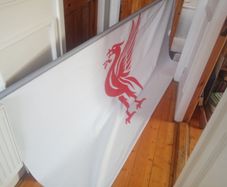 window blind