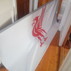 window blind