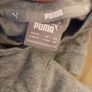 Baby Puma Image 3